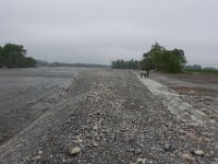 img (348)